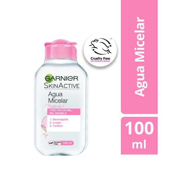 Garnier Todo en 1 Agua Micelar 100ml